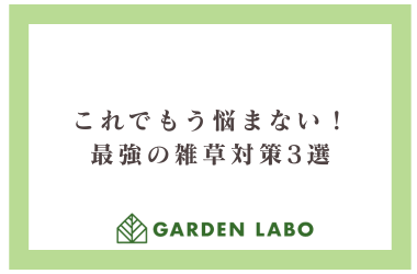 これでもう悩まない！最強の雑草対策３選