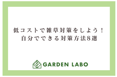 低コストで雑草対策をしよう！自分でできる対策方法8選