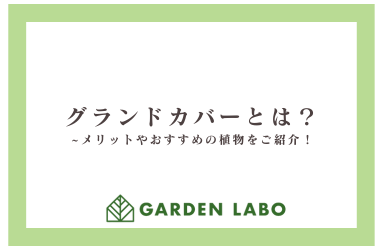 グランドカバーとは？