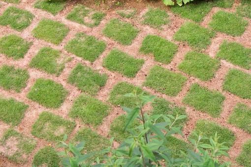 初心者必見！庭の芝生張りを成功させるコツと費用の抑え方 アイチャッチ