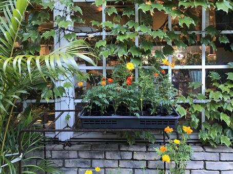 植栽やプランターを活用した目隠し効果