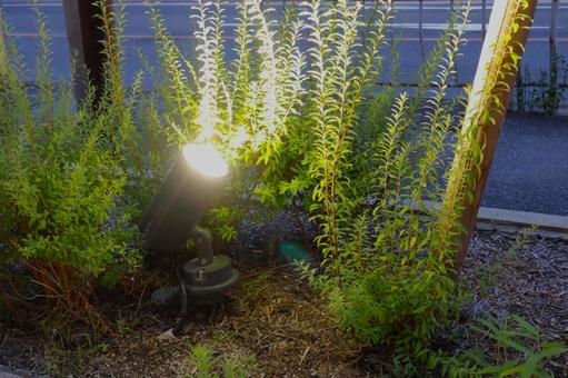 植栽ライト