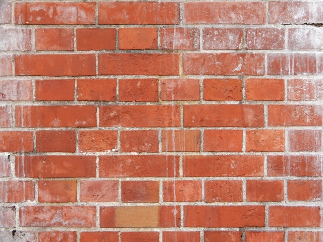 コラム　外塀　汚れ