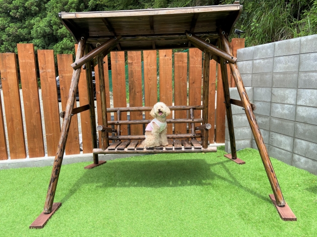 コラム ドッグラン