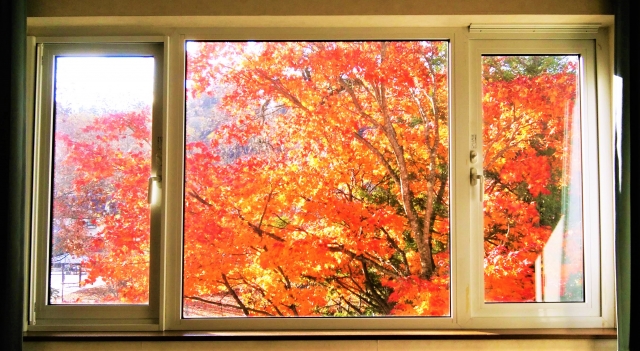 コラム：室内からの景色