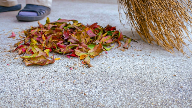 コラム 庭の掃除