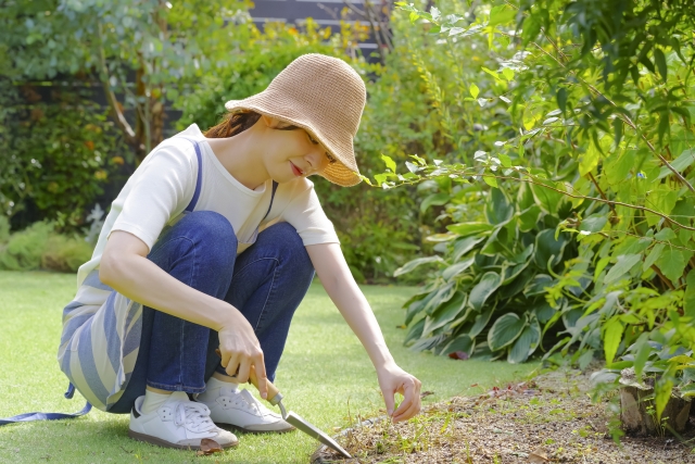 コラム ガーデニング