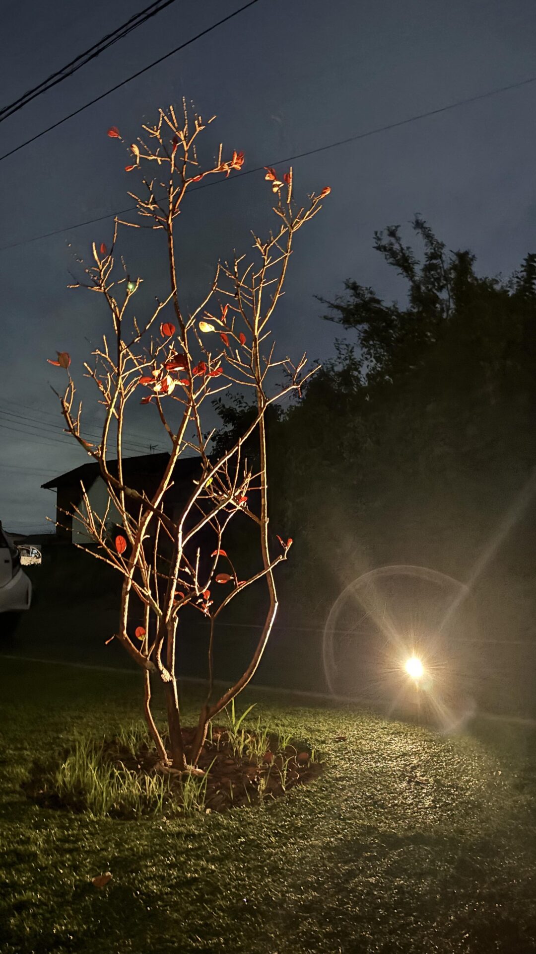 夜のわが家が、もっと好きになる。 アイチャッチ 夜のわが家が、もっと好きになる。 アイチャッチ